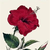 Marilyn Margaret Miller Mosher