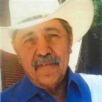 Martin E. Hernandez
