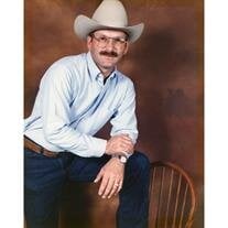 Jamie C Stout