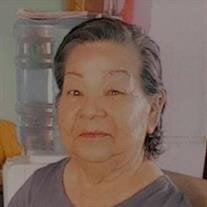 Maria V. Morales