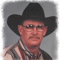 Mr. Howard Stanley Holt