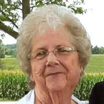 Patricia A. Hoffman