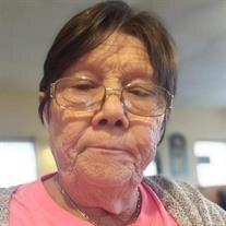 Shirley Ann Folkerts