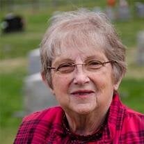 Sandra Sue Rhudy