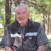 George Barry McEldowney