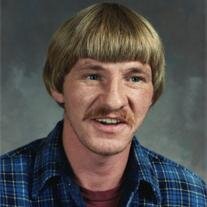 David Ness