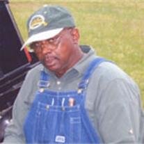 O.B. Wren