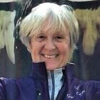 Marti Sheffield Hegadore