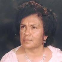 Maria Luisa Flores Mendoza