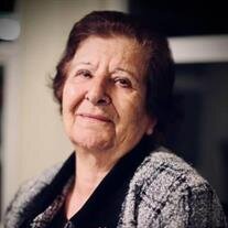 Narges E. Nisan