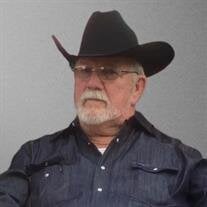 Mr. Jack Green