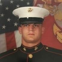 Steven  Michael  Winton