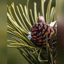 Thomas Hawkins Griffis, Jr.