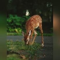 James Franklin Smith