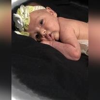 Amora Rose Pressnell