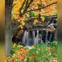 Linda Gayle Adams
