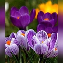 Joyce Elaine Weatherford