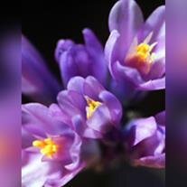 Gail Ultz Drahota