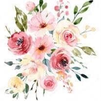 Doreen S Litscher