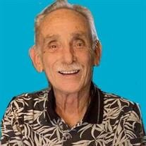 Mr. Dale L. Hardy