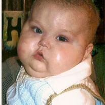 Logan Stiltner