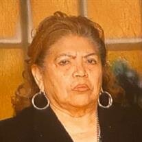 Elida D. Castillo