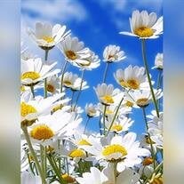 Daisy Lucille Ellison