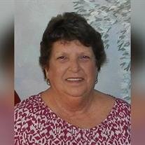 Judy Carpenter Plant