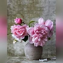 Sharon Darnley Meador