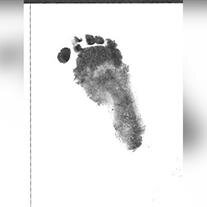 Ryan Scott  Martin, Jr.