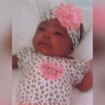 Amillia Starr Maroney