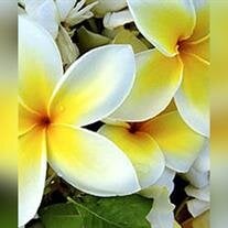 Jo Ann Hall