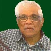 Aniano S. Domingo