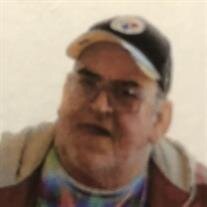 Norman Dale Ellison Jr.