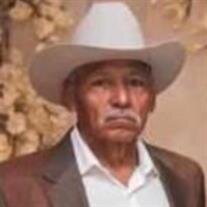 Alfredo Zuniga