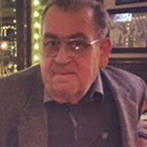 Luigi Villani