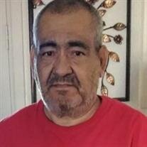 Jose L. Velasco-Gonzalez