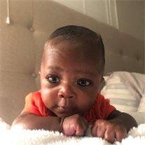 Evan Langston Stewart