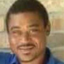 Mr. Wilton Joseph Stelly Jr.