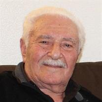 Valoudieh Davood Pareh Anhar