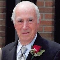 Giuseppe Stocchetti