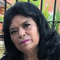 Ma. Teresa Guerrero