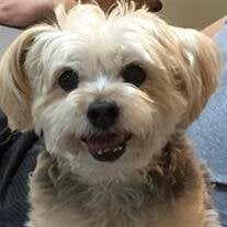 Duke Pakutz