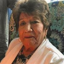 Molly N. Garduno