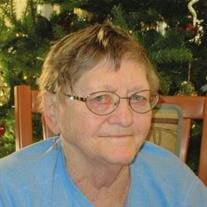 Lou Ann Viehmeyer