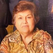 Elizabeth R. Villarreal