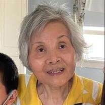Dr. Shiow Ying Yang DNSc MSN