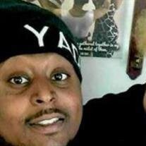 MR. SHAHEED OMAR WILLIAMS