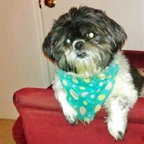 Romeo "Romey Rome" Logan
