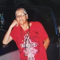 Ms. Pamela A. Petrinec